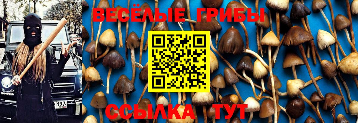 Галлюциногенные грибы GOLDEN TEACHER  где найти наркотики  Прокопьевск  Вход с VPN 