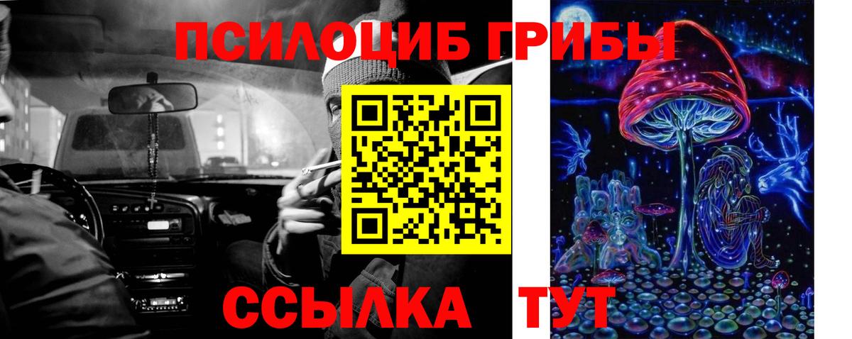 Псилоцибиновые грибы GOLDEN TEACHER Прокопьевск